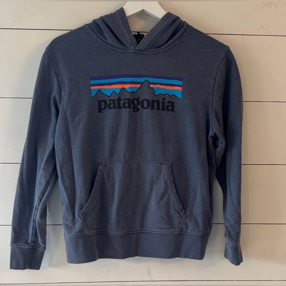 Patagonia Kids Blue Hoodie Size L